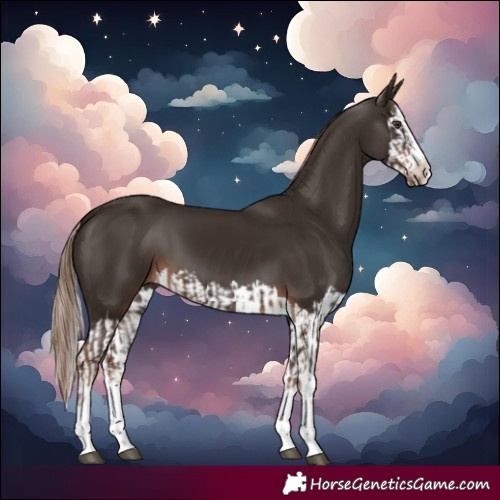 Horse Color:Liver Chestnut and Liver Chestnut Splash