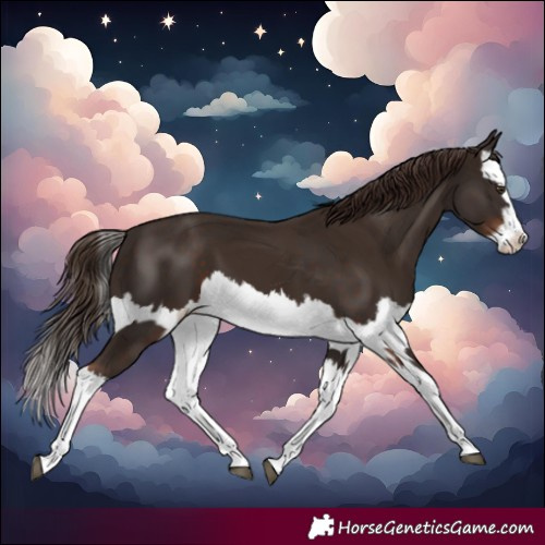 Horse Color:Liver Chestnut Splash and Liver Chestnut Splash