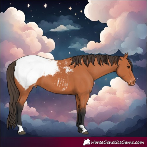 Horse Color:Bay Snowcap