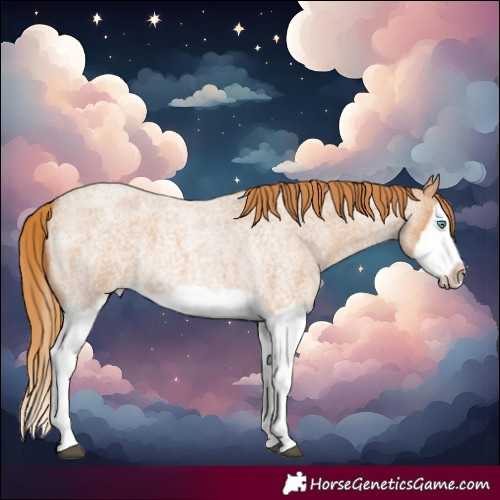 Horse Color:Red Roan Splash Frame