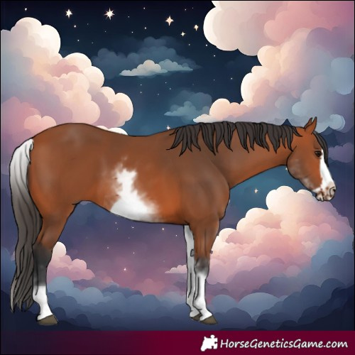 Horse Color:White Spotted Bay Frame 