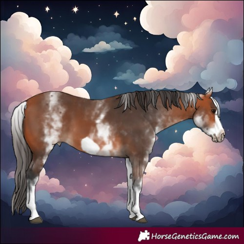 Horse Color:White Spotted Bay Frame 