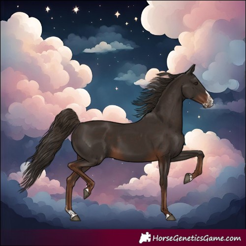 Horse Color:Liver Chestnut  and Liver Chestnut Splash 