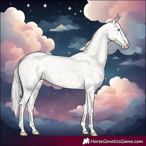 Horse Color:Cremello Leopard
