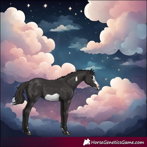 Horse Color:Smoky Black Frame 