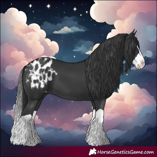 Horse Color:Black Splash Blanket 