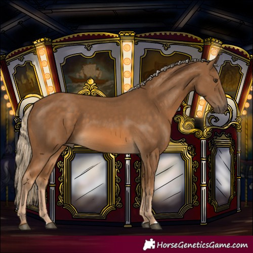 Horse Color:Chocolate Palomino
