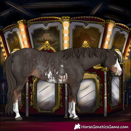 Horse Color:Liver Chestnut and Liver Chestnut Rabicano