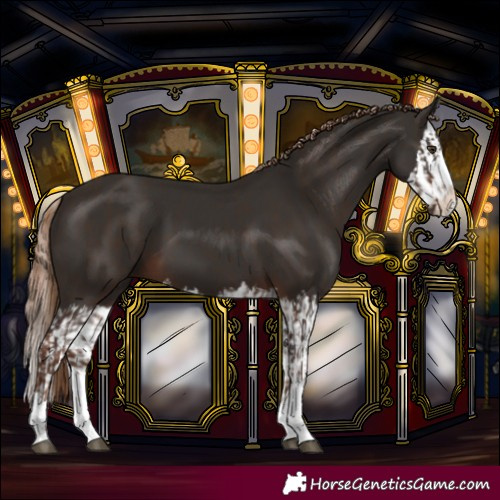Horse Color:Liver Chestnut and Liver Chestnut Splash