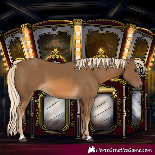 Horse Color:Chocolate Palomino