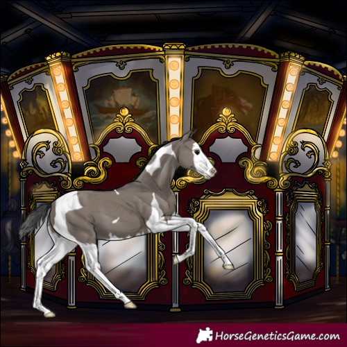 Horse Color:Grullo Splash Tobiano 