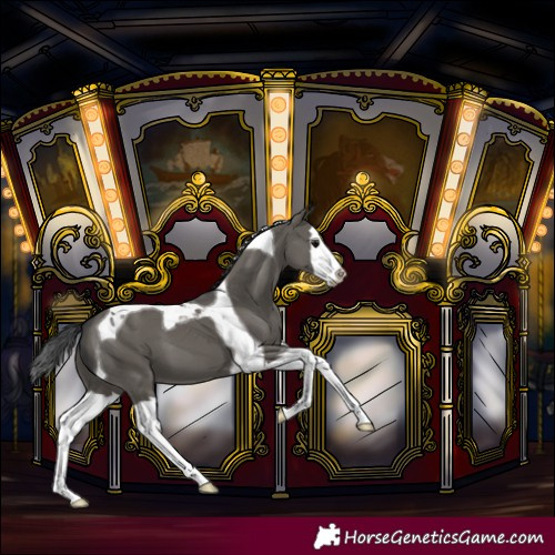 Horse Color:Grullo Splash Tobiano