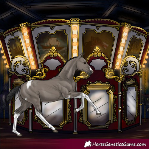 Horse Color:Grullo Splash Tobiano 
