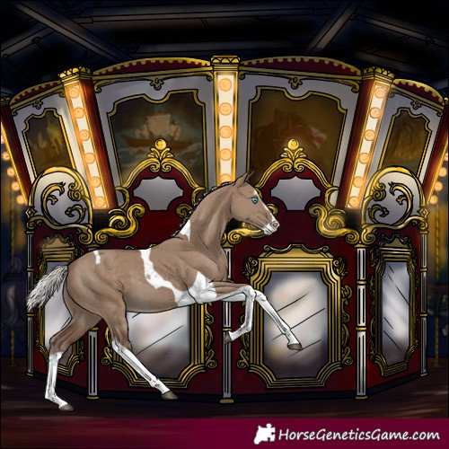 Horse Color:Silver Grullo Splash Tobiano
