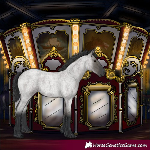 Horse Color:Grullo Roan 