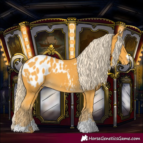 Horse Color:Palomino Blanket 