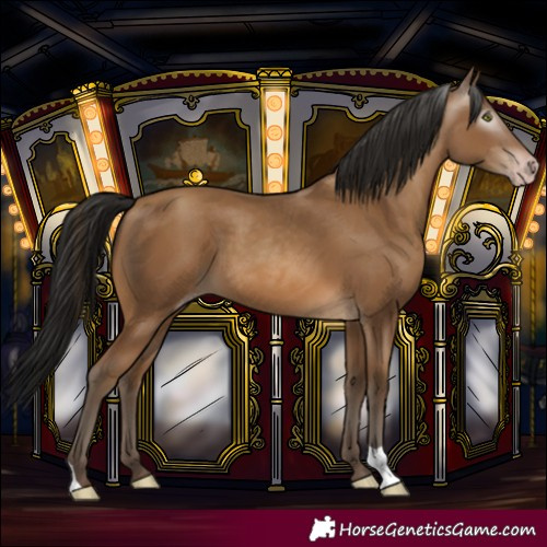 Horse Color:Gray Amber Champagne 