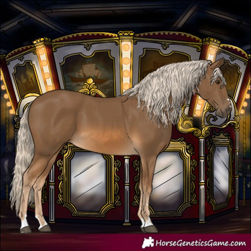 Horse Color:Chocolate Palomino