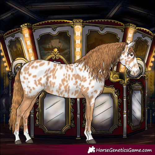 Horse Color:Chestnut Near Leopard 