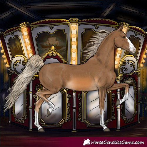 Horse Color:Chocolate Palomino 