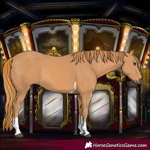 Horse Color:Chestnut Tobiano 