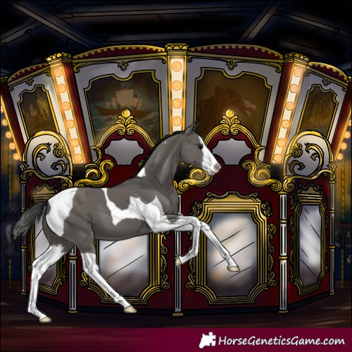 Horse Color:Grullo Splash Tobiano 