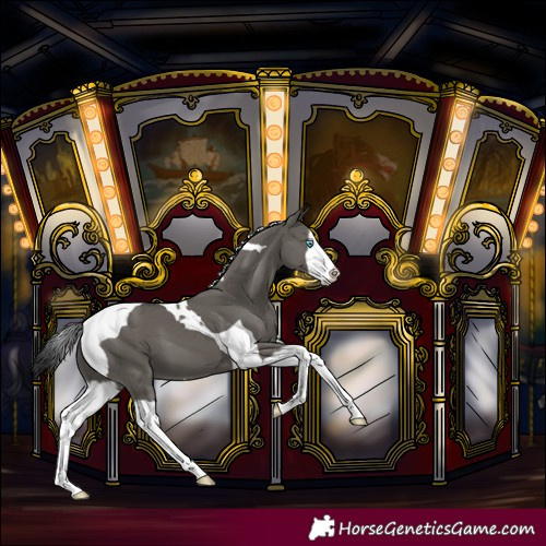 Horse Color:Grullo Splash Tobiano