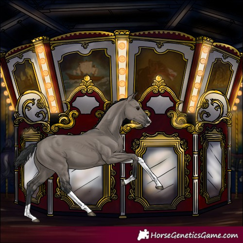 Horse Color:Grullo Splash Tobiano
