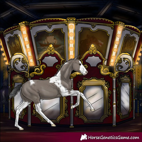 Horse Color:Grullo Splash Tobiano