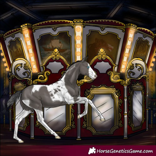 Horse Color:Grullo Splash Tobiano