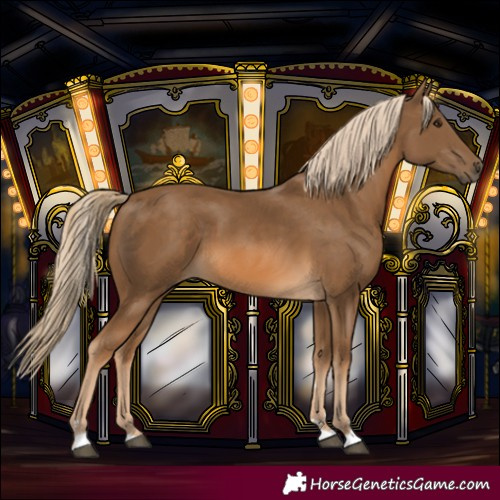 Horse Color:Chocolate Palomino 