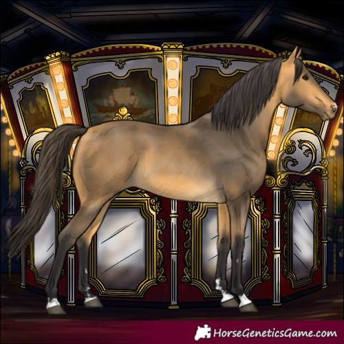 Horse Color:Buckskin