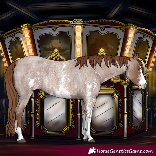 Horse Color:Red Roan Sabino
