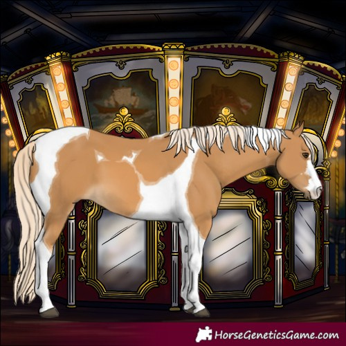 Horse Color:Palomino Tobiano 