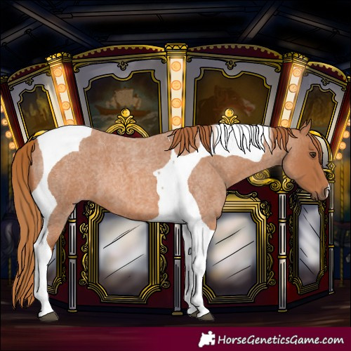 Horse Color:Red Roan Tobiano