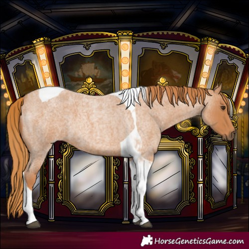 Horse Color:Red Roan Tobiano 