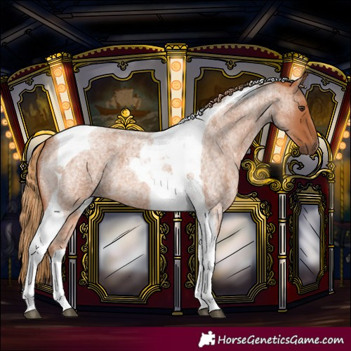 Horse Color:Red Roan Tobiano 