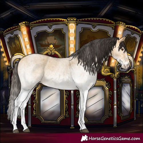 Horse Color:White Spotted Buckskin Roan Dun 