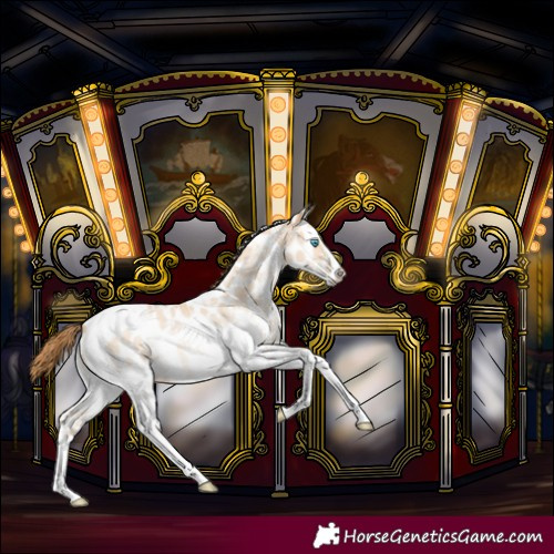 Horse Color:Buckskin Pearl Sabino Tobiano Near Leopard Rabicano