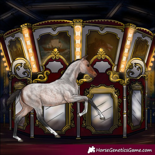 Horse Color:Bay Roan Tobiano Rabicano 