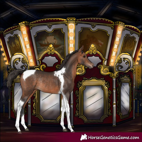 Horse Color:Bay Tobiano Rabicano 