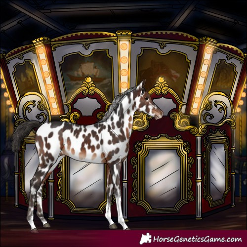 Horse Color:Brown Tobiano Leopard Rabicano 