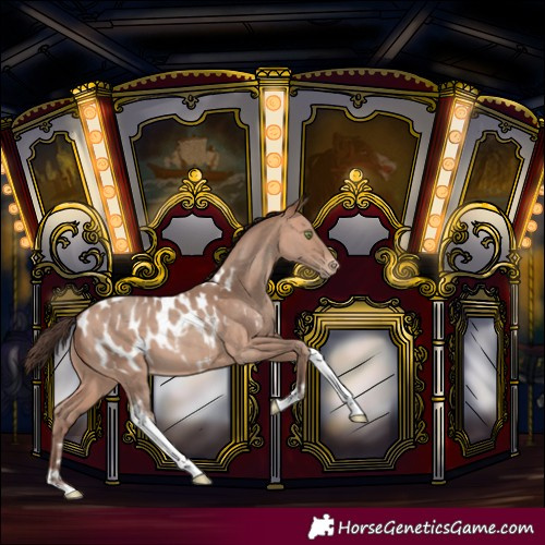 Horse Color:Sable Champagne Tobiano Blanket Rabicano