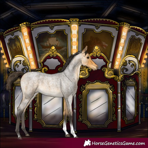 Horse Color:Buckskin Roan Tobiano Rabicano 