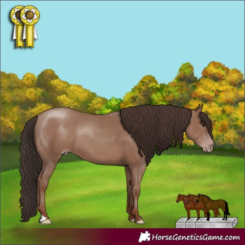 Horse Color:Classic Champagne 