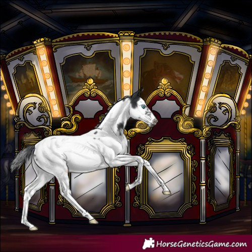 Horse Color:Black Splash Tobiano Frame