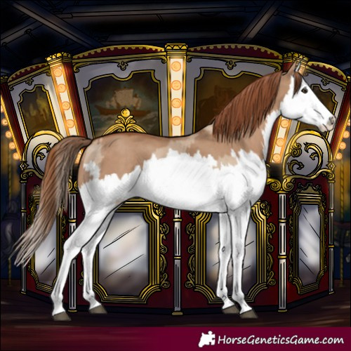 Horse Color:Red Dun Splash  and Red Dun Splash 