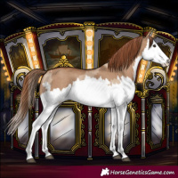 Horse Color:Red Dun Splash  and Red Dun Splash 