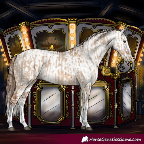 Horse Color:Red Dun Splash  and White Spotted Red Dun Splash 
