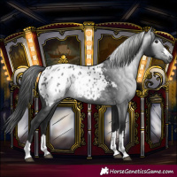 Horse Color:Gray Black Blanket 